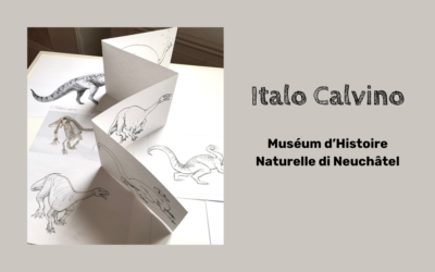 Progetto Italo Calvino – Ultimo appuntamento